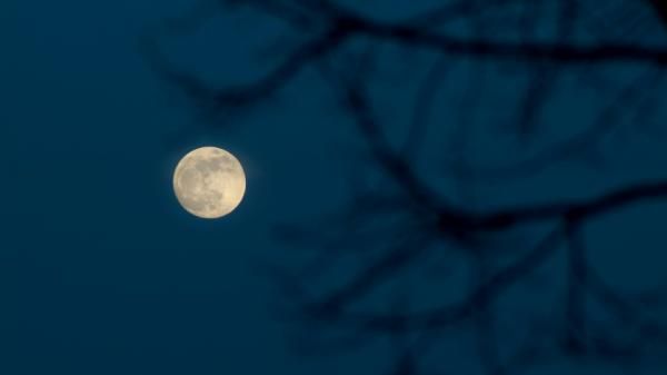 A lunar twist this month: May's full moon will look smaller and