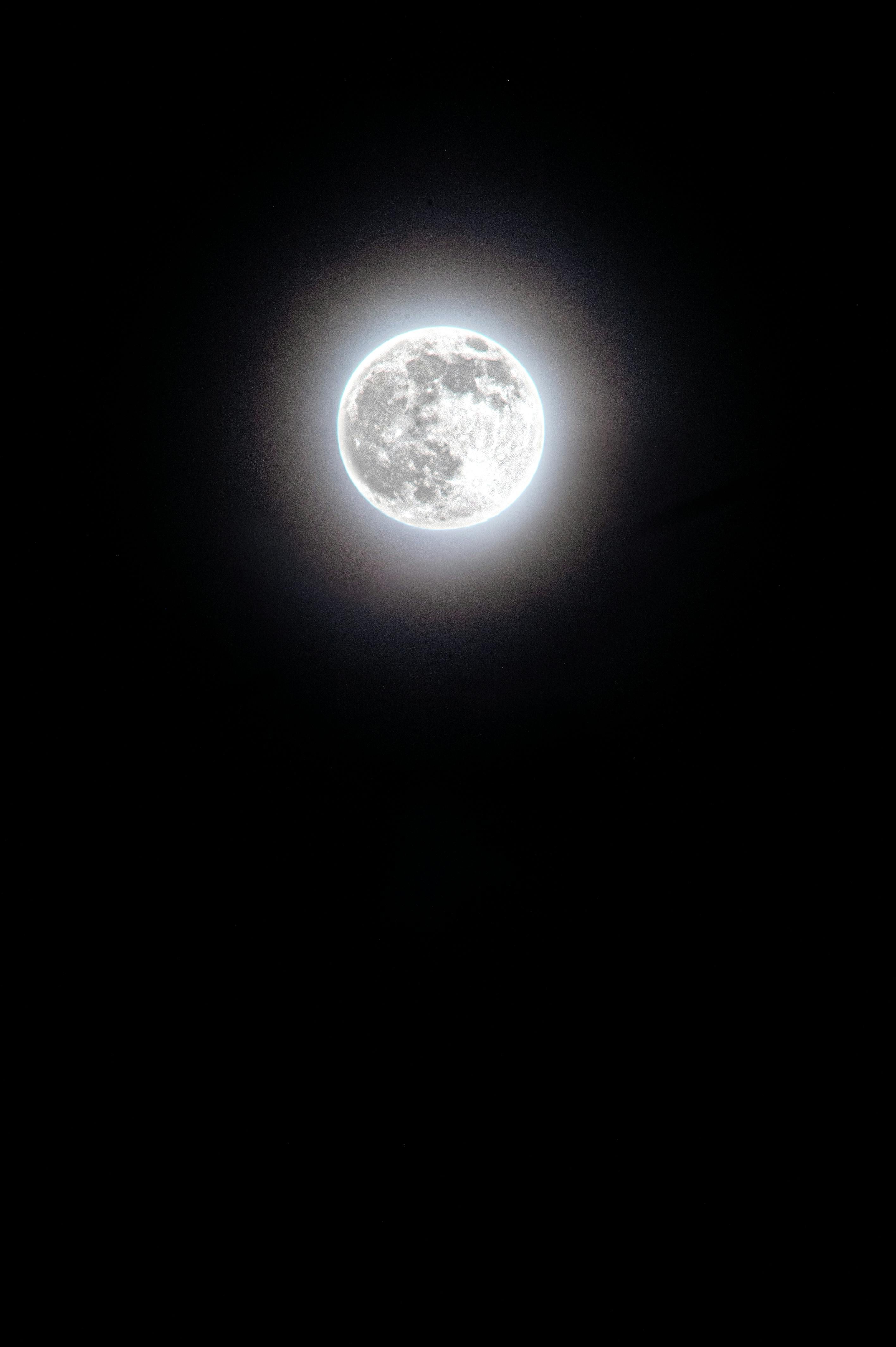 full moon☆ Worm Moon, 2026 - Full moon of March 🌕 . . . #Wormmoon #fullmoon