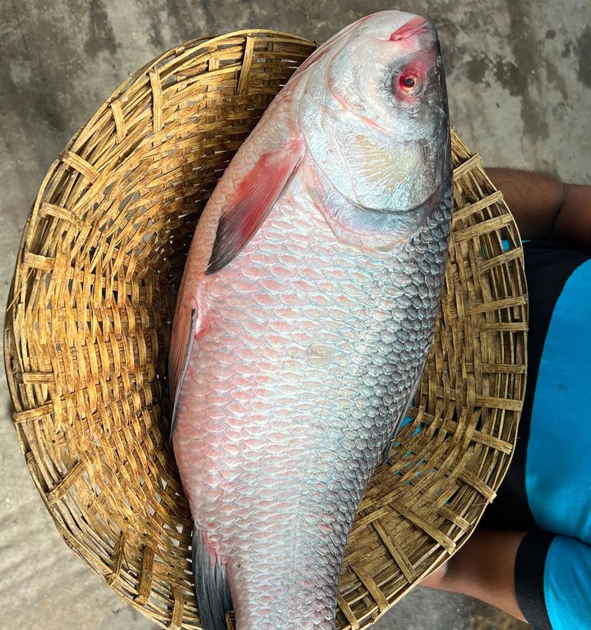 Porno erini bekasi bilan tutdi va unga qoshildi Pop va kino yulduzlarining samimiy fotosuratlari