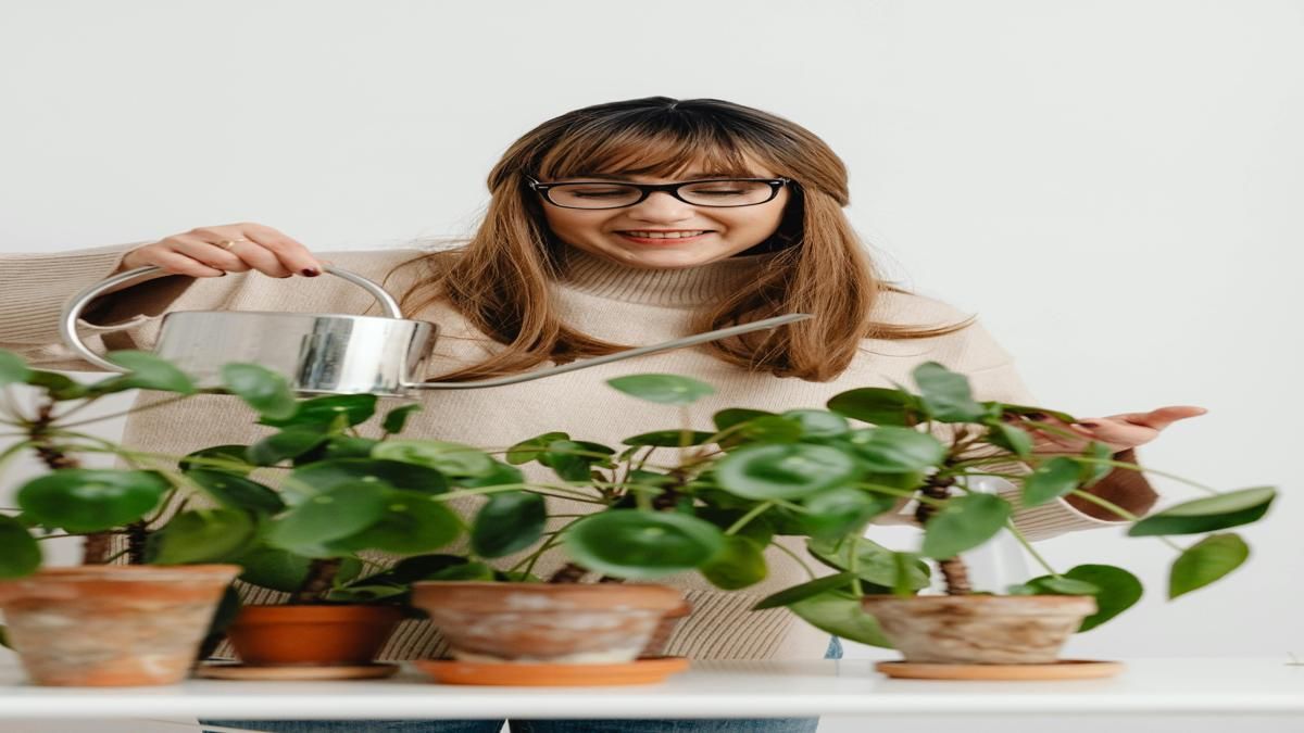 Breathe Better: Air-Cleansing Houseplants You Need
