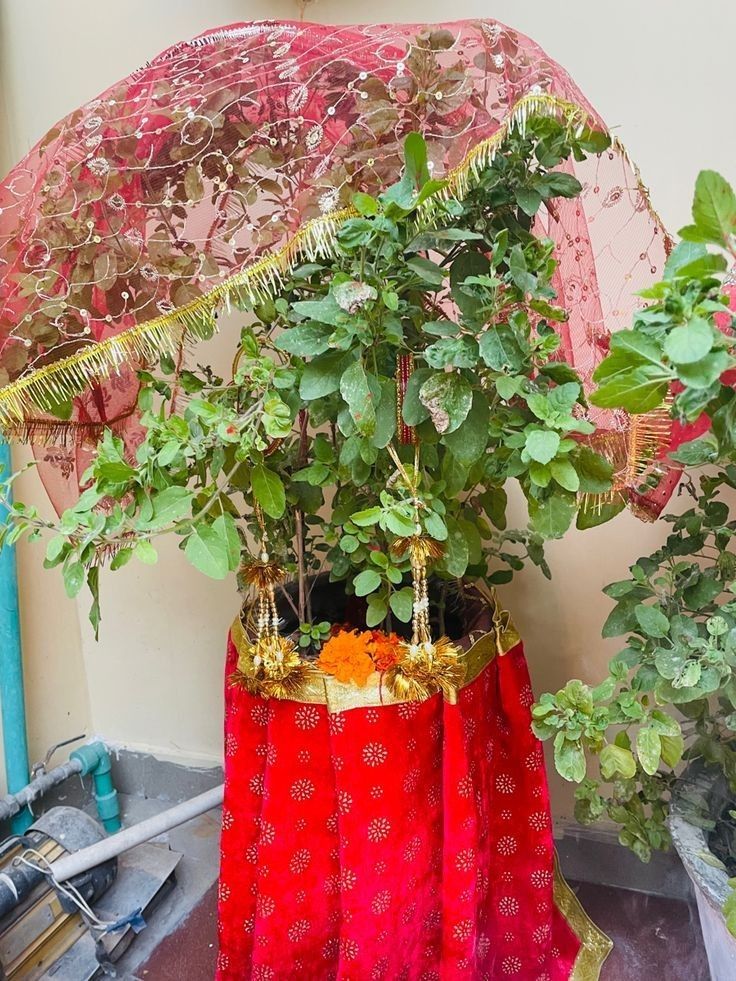 tulsi pooja 9ITG 1747901527005