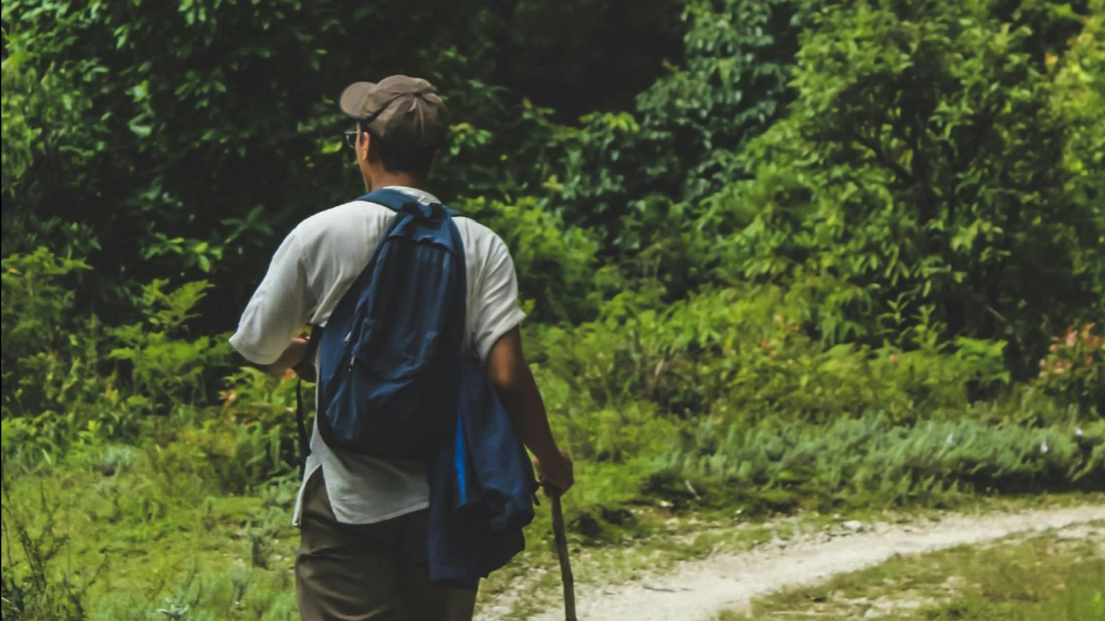 Japanese walking: Is it the secret to staying fit?