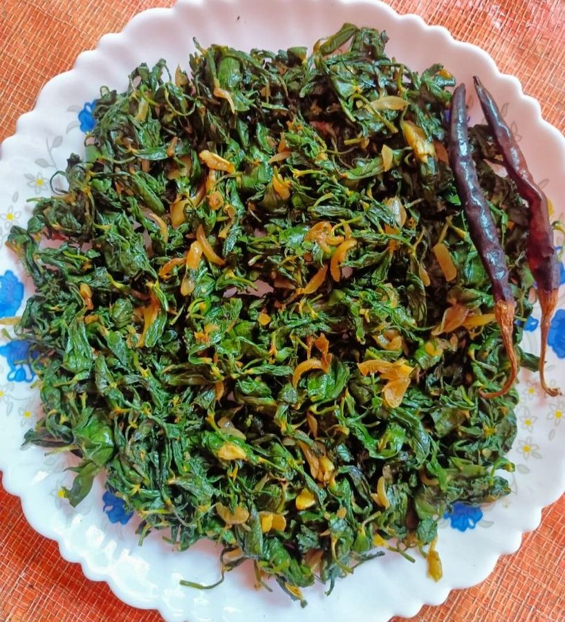 Katta labli mushukning shaxsiy fotosurati Katta labli mushukning shaxsiy fotosurati