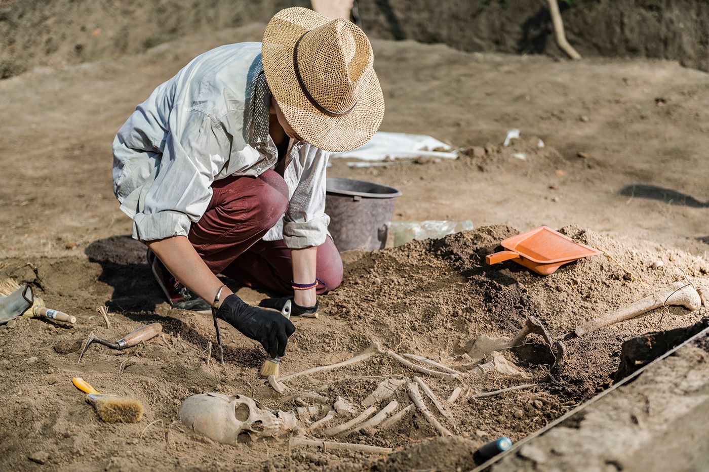 ArchaeologistITG 1749451318124