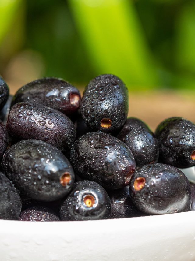 इन लोगों को नहीं खाना चाहिए जामुन, हो सकते हैं कई नुकसान