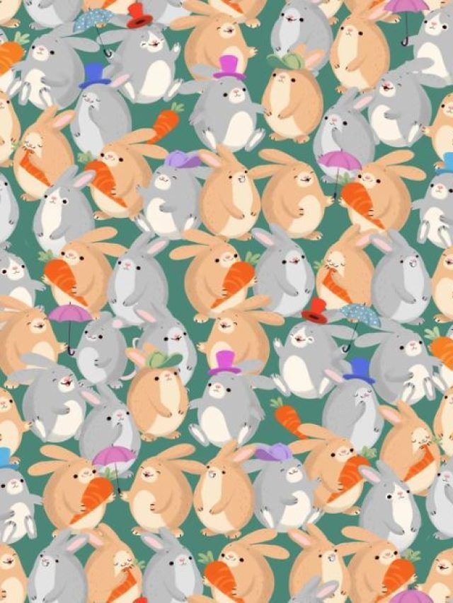 खरगोश के बीच छिपा है 'Mouse', 10 सेकंड में ढूंढने वाला कहलाएगा जीनियस