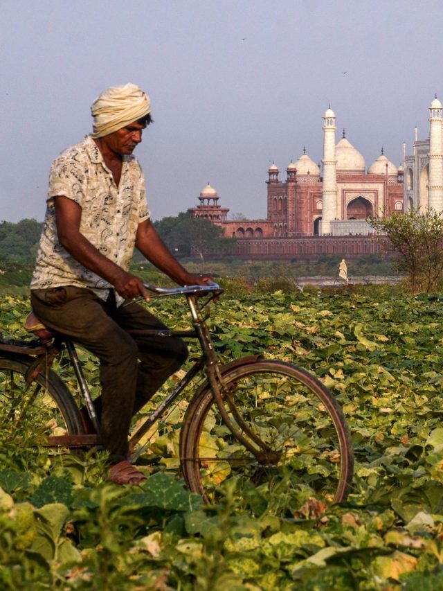 खाते में चाहिए PM किसान की 20वीं किस्त, तो जल्द निपटा लें ये काम