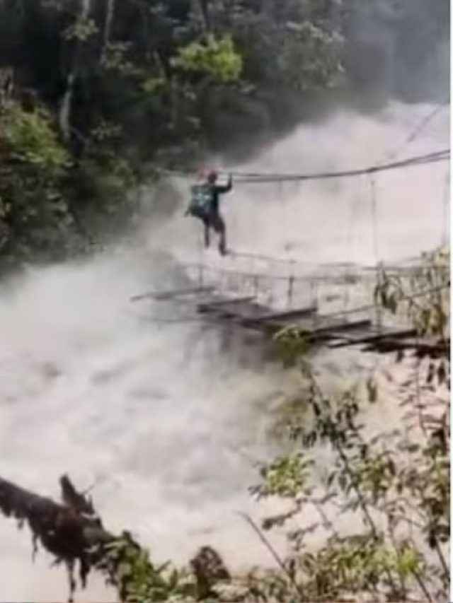 न मौत का डर, न बहाव की परवाह! उफनती नदी के बीच शख्स ने पार किया पुल