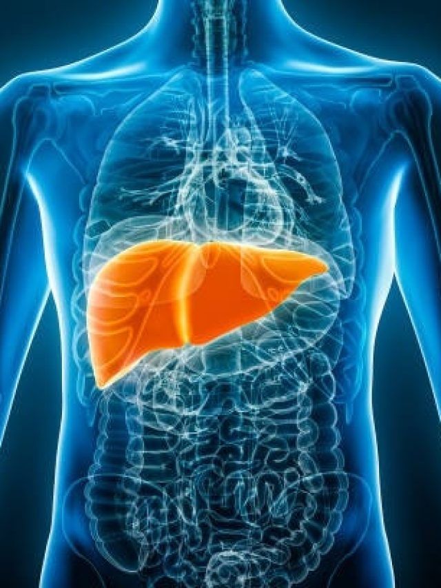 शरीर में 500 से ज्यादा काम करता है Liver, इन गलतियों से ना करें इसे खराब