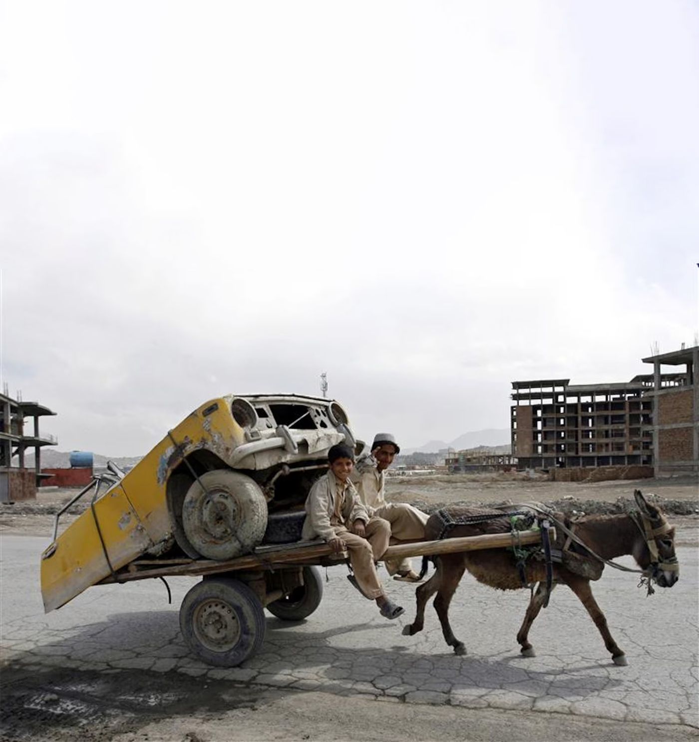 Global Donkey Populations Decimated for Chinese Traditional