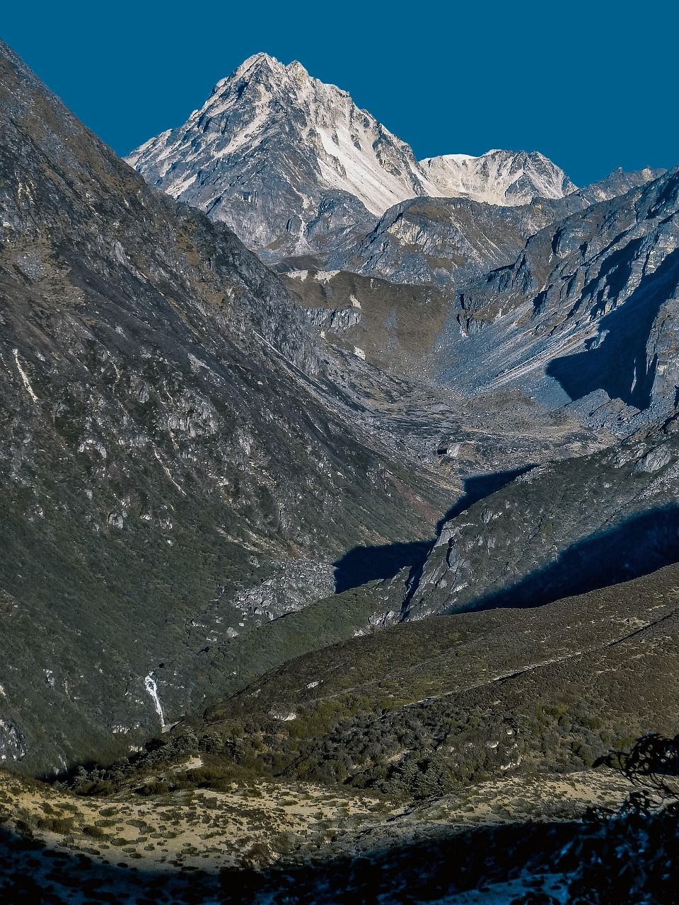 Yuliya Vasilyeva yalangoch