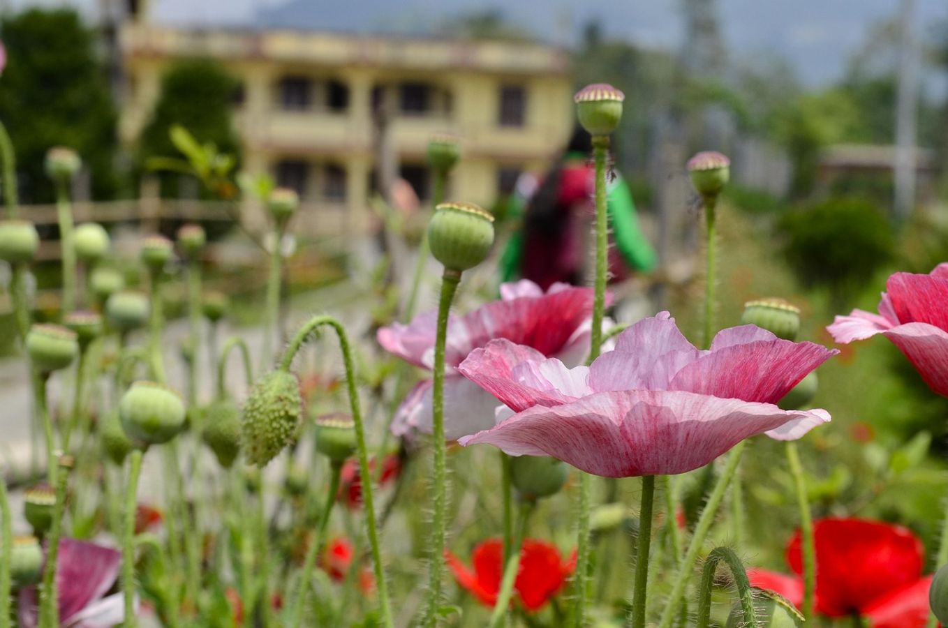 Kaltak ogzining fotosurati bilan ishlaydi Geraldine porno