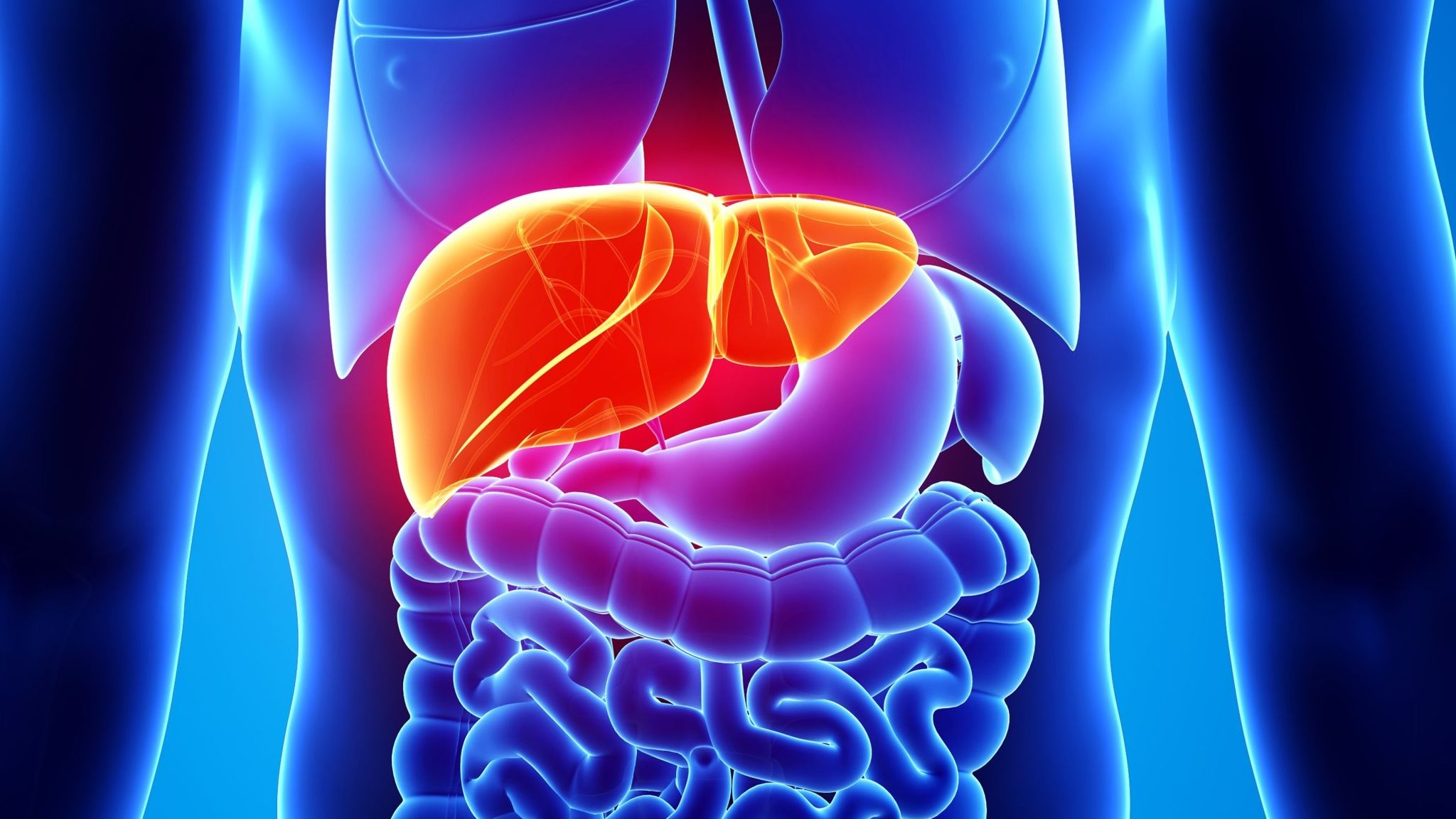 India is facing an epidemic of non-alcoholic fatty liver disease