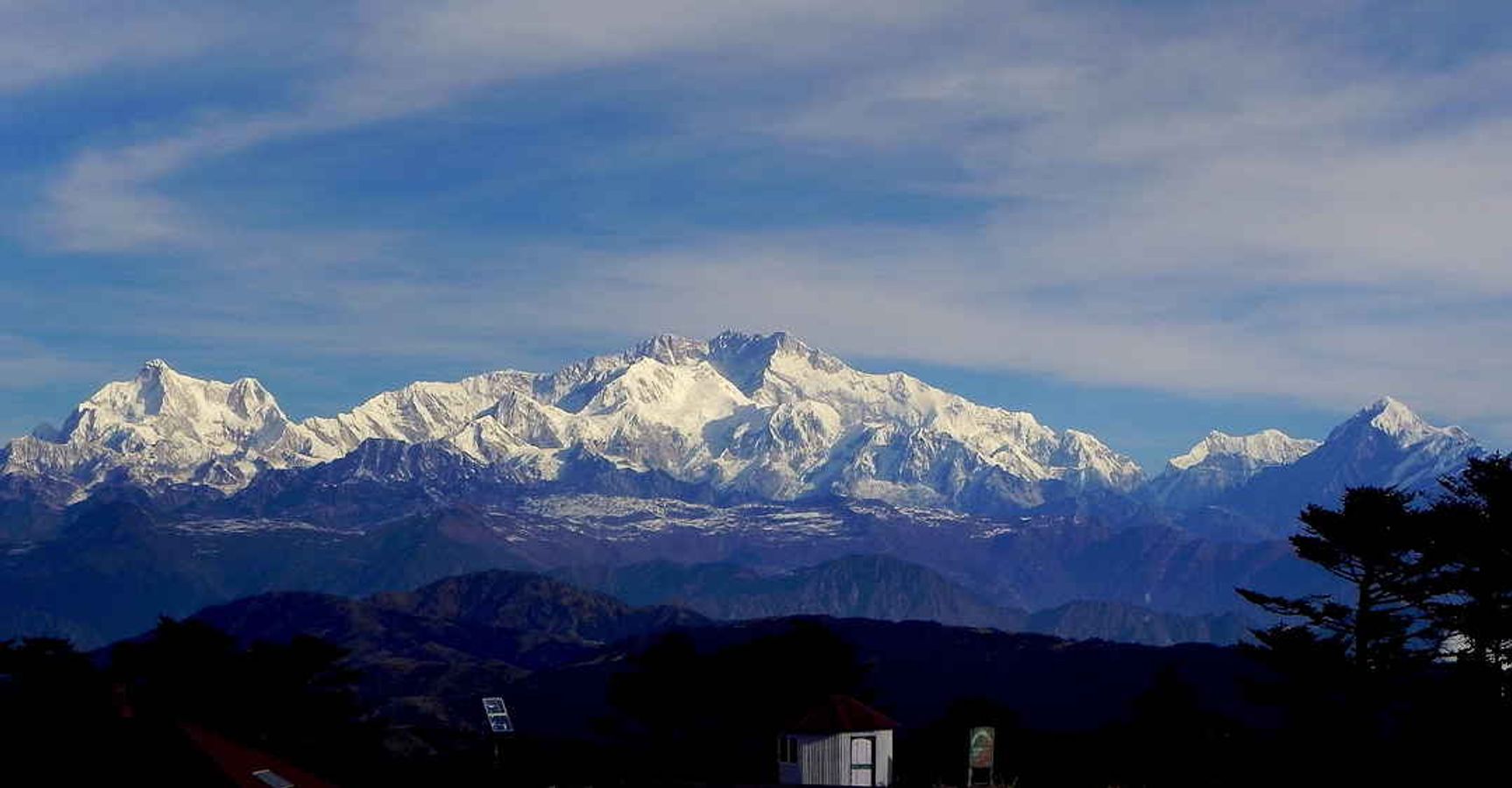 Jinsiy gif rasmlar Yosh ayollarning mushuklaridagi xorozlar