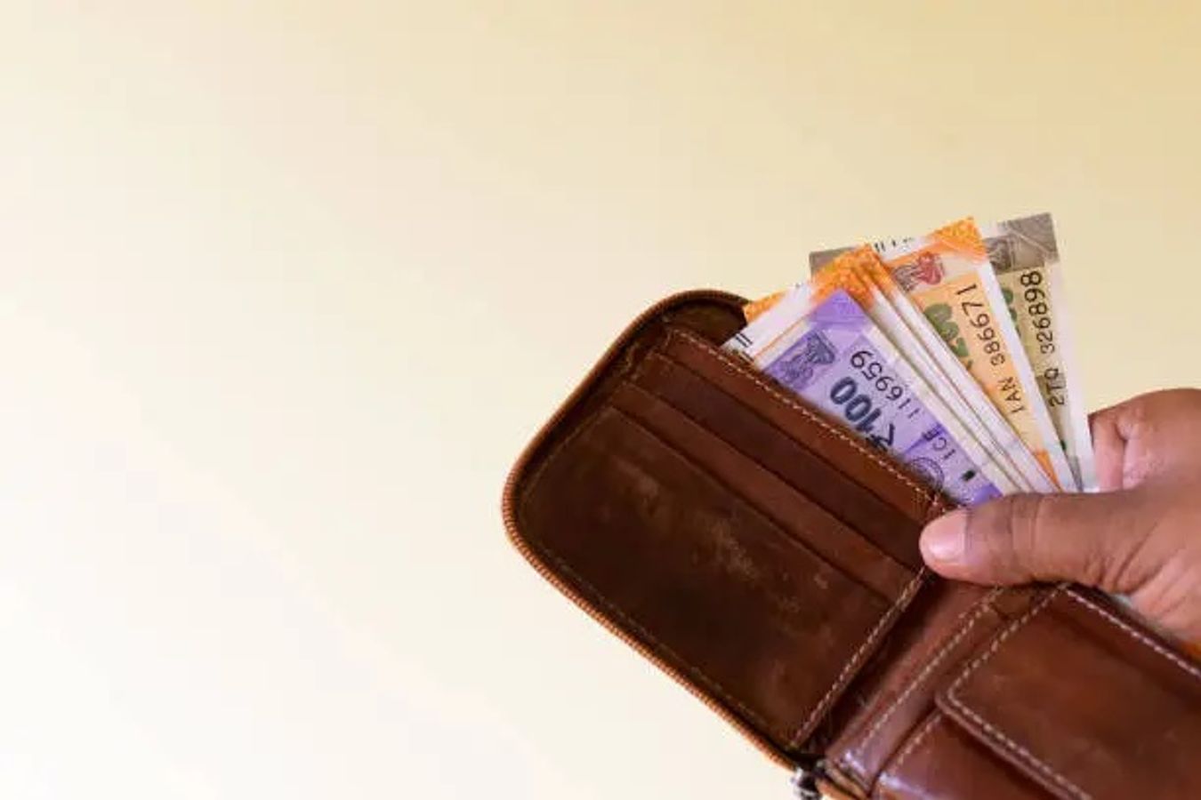 पर्स में रखें ये चीजें, चुम्बक की तरह खिंचा चला आएगा पैसा - Vastu tips always keep these things in your wallet to get grace of maa laxmi tvisc