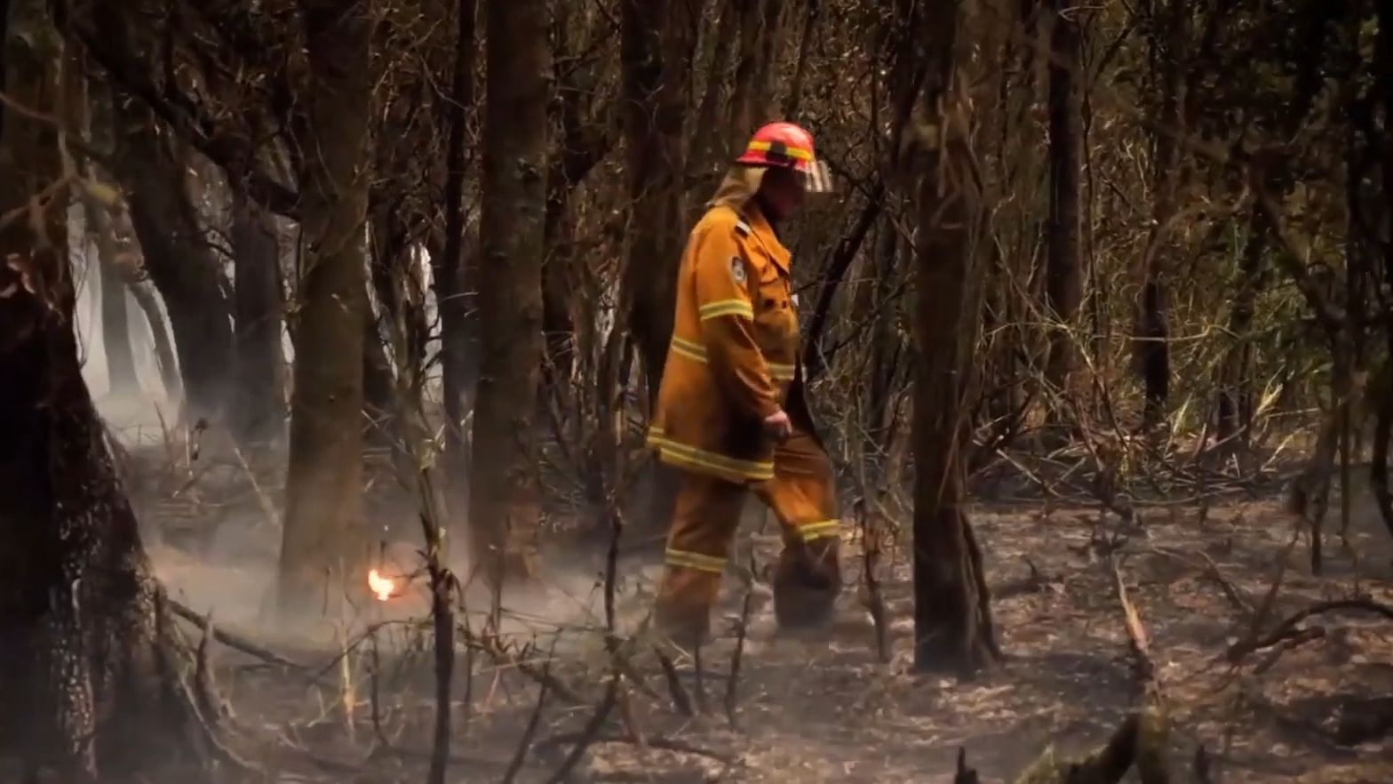 Top 7 films to watch on climate change issues