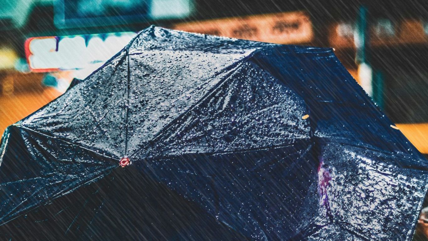 5 Foods to Avoid in Monsoon - Stay Healthy - News Directory 3
