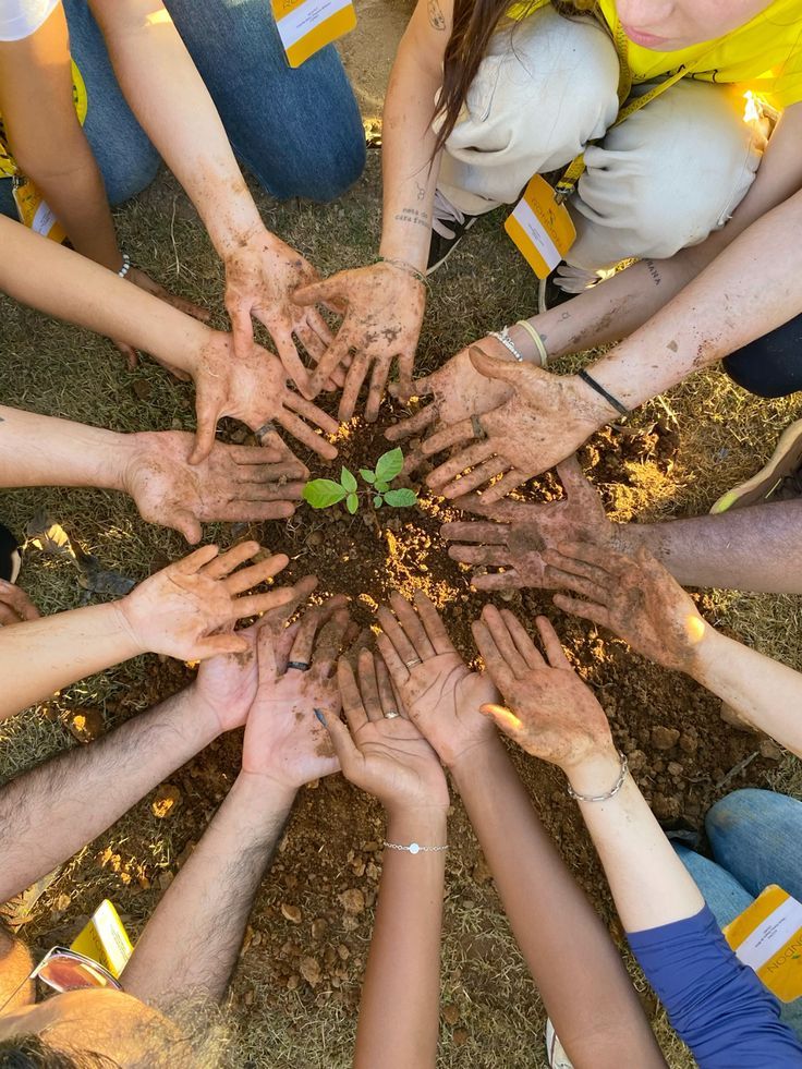 tree planting 3ITG 1750248657835