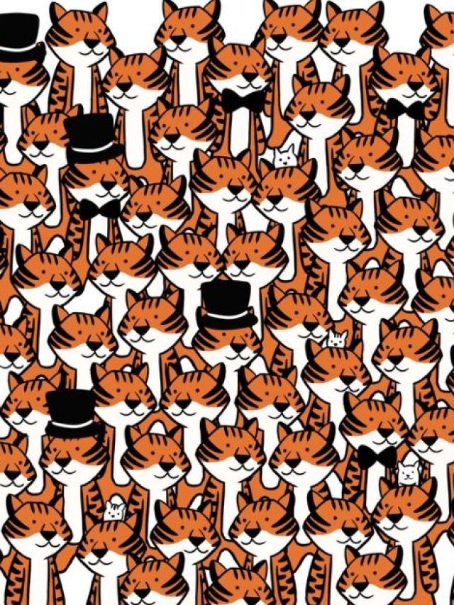 बिल्लियों के बीच में छिपे हैं 4 चूहे, 10 सेकंड में ढूंढ कर दिखाएं