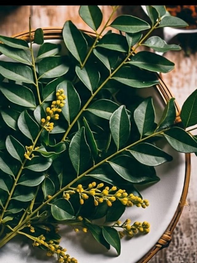 पेट की चर्बी काट देगा करी पत्ता, वेट लॉस में देता है गजब फायदे