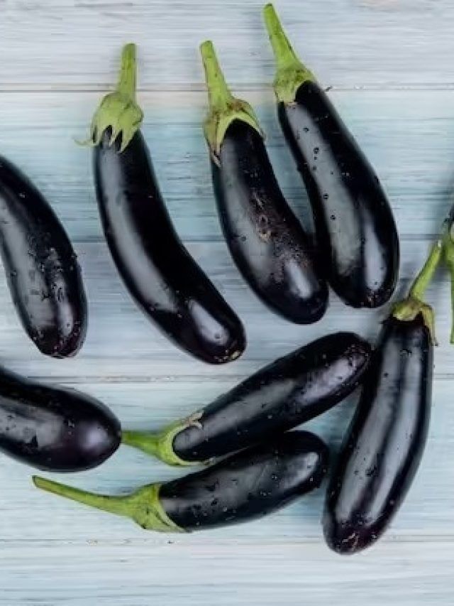 বেগুন রোজ খেলে কী হয়, জানুন