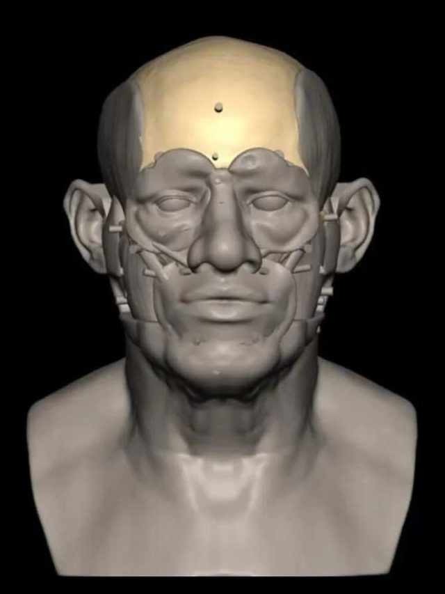 Buried in clay, raised by code: The ancient man who wasn’t who we thought