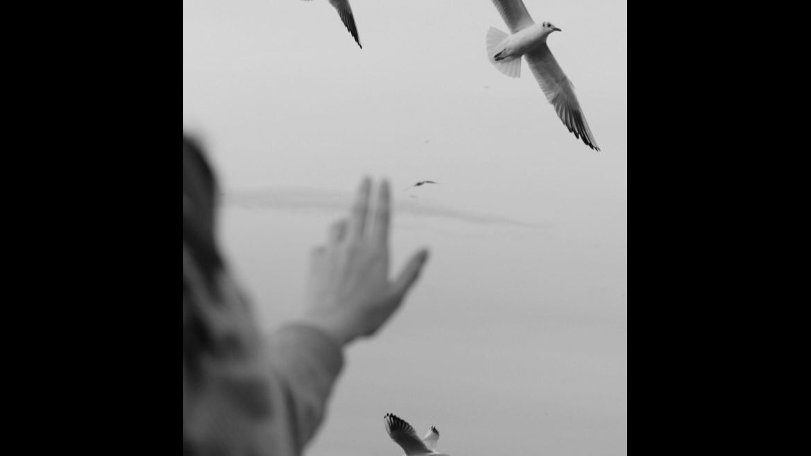 7 Things to Let Go of If You Want a Happier Life
