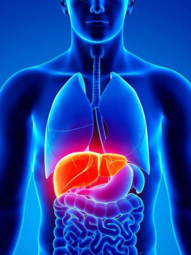 हर दिन 2 सेब खाने से लिवर पर क्या असर होता है, डॉक्टर सरीन ने गिनाए फायदे