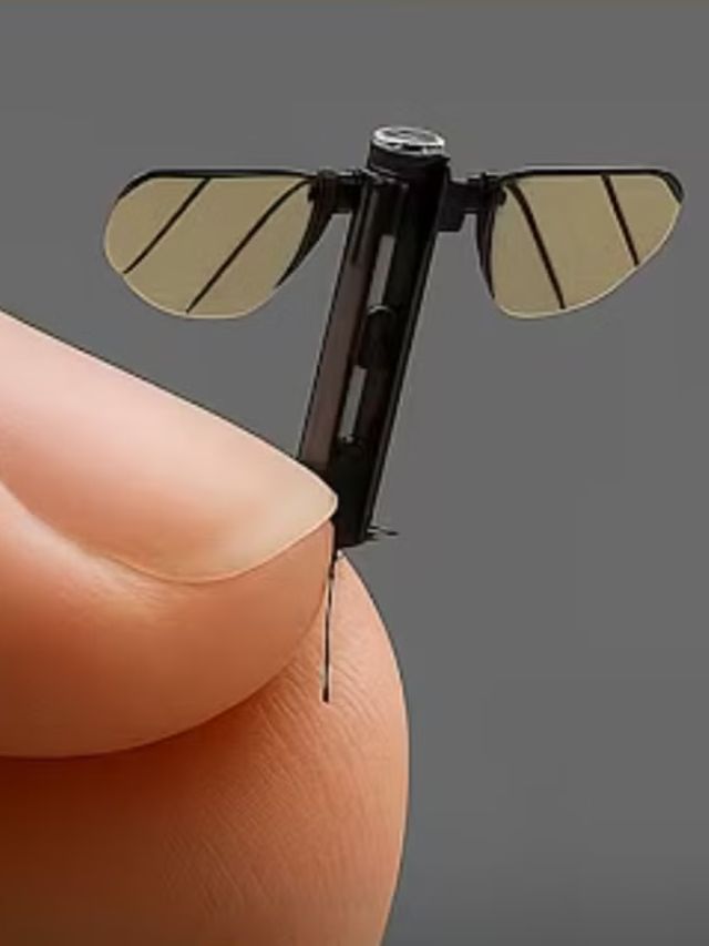 Size of a mosquito, built by China: The terrifying new face of espionage