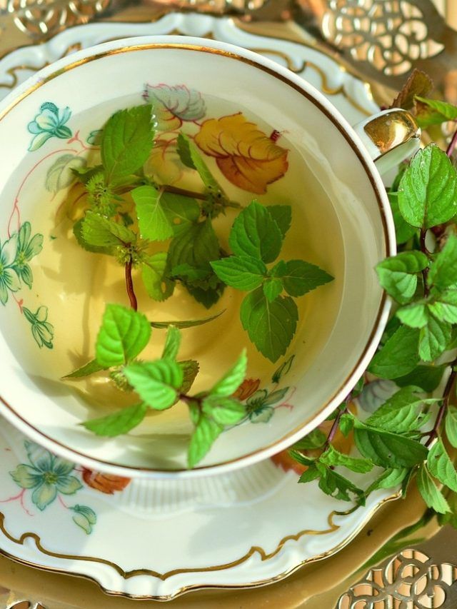 सेहत के लिए बेहद फायदेमंद मानी जाती हैं ये हर्बल चाय, रोज पीने से मिलते हैं कई फायदे