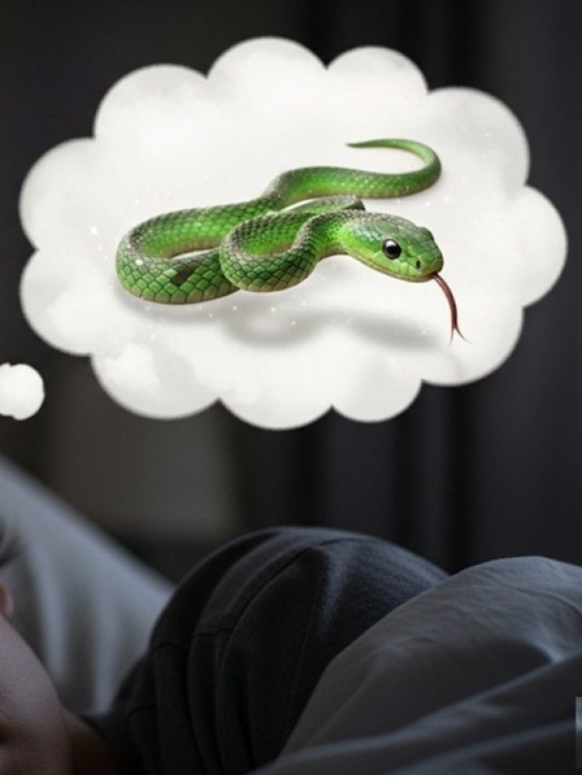 सपने में इस एक चीज का दिखना बेहद शुभ, सावन में तकदीर चमकने का है इशारा