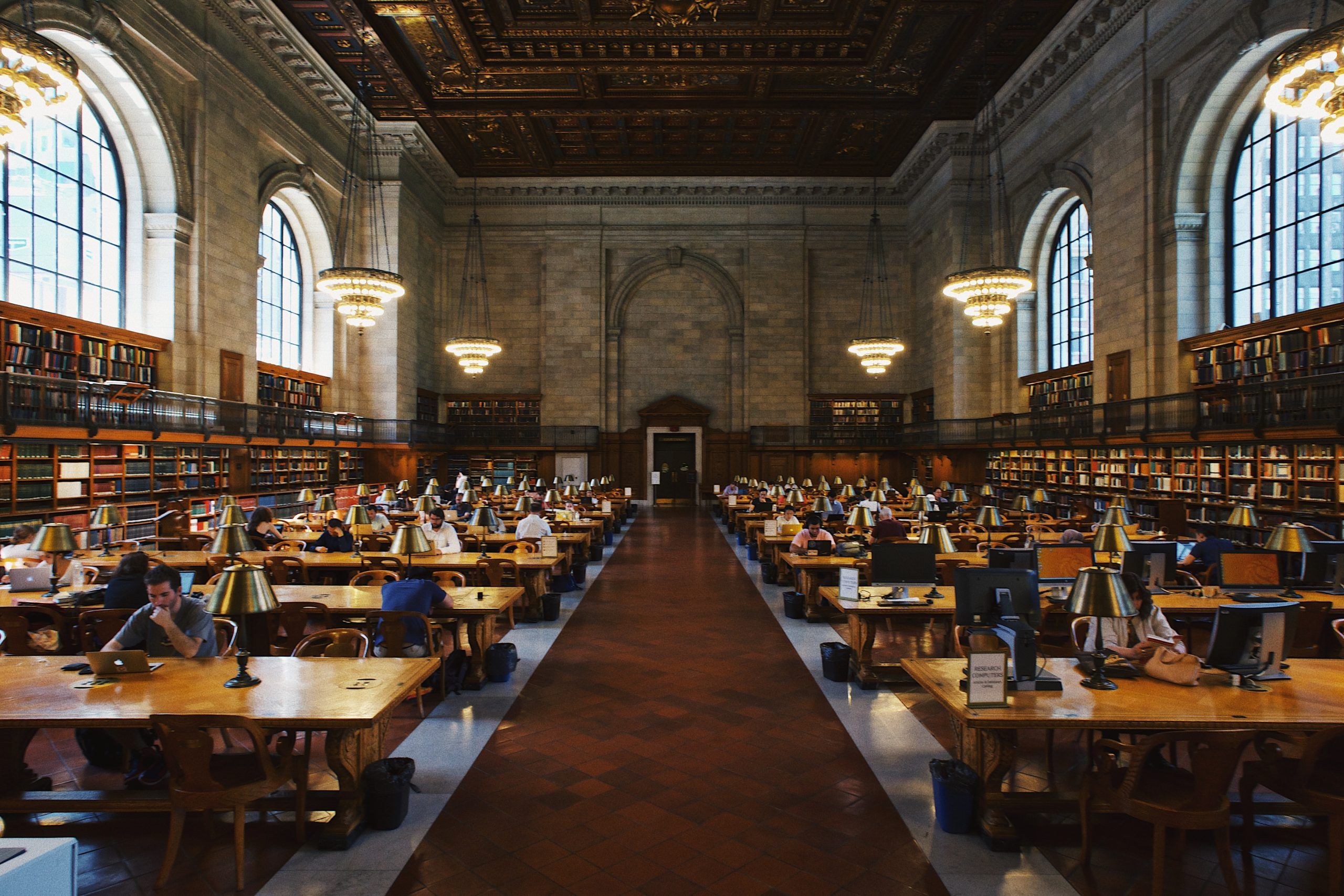 Top 7 Emerging Courses Abroad That Are In-Demand in 2025