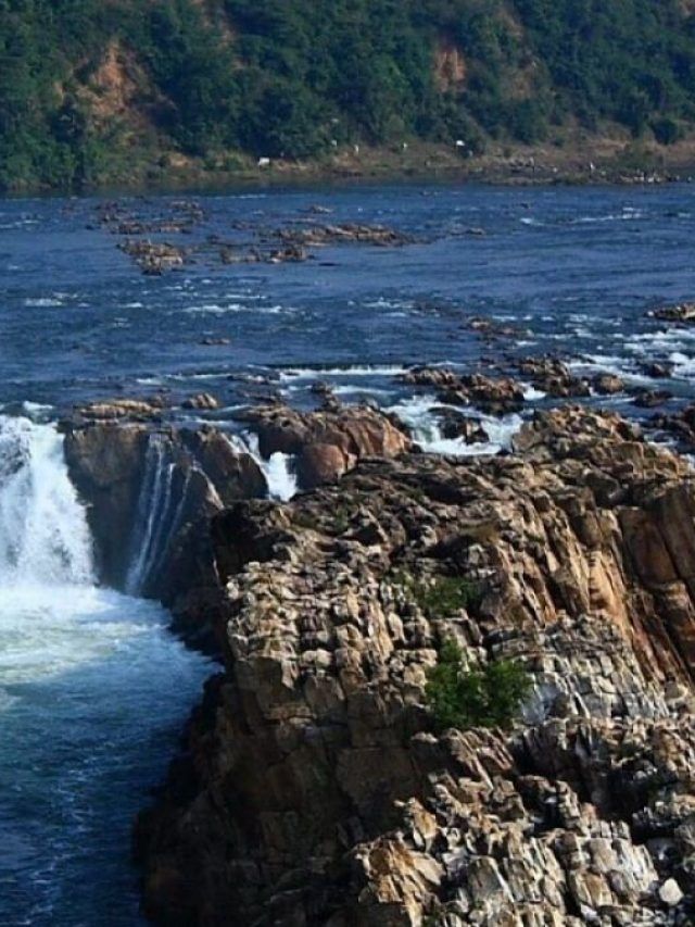 MP के ये 5 झरने, प्रकृति प्रेमियों के लिए हैं बेस्ट डेस्टिनेशन