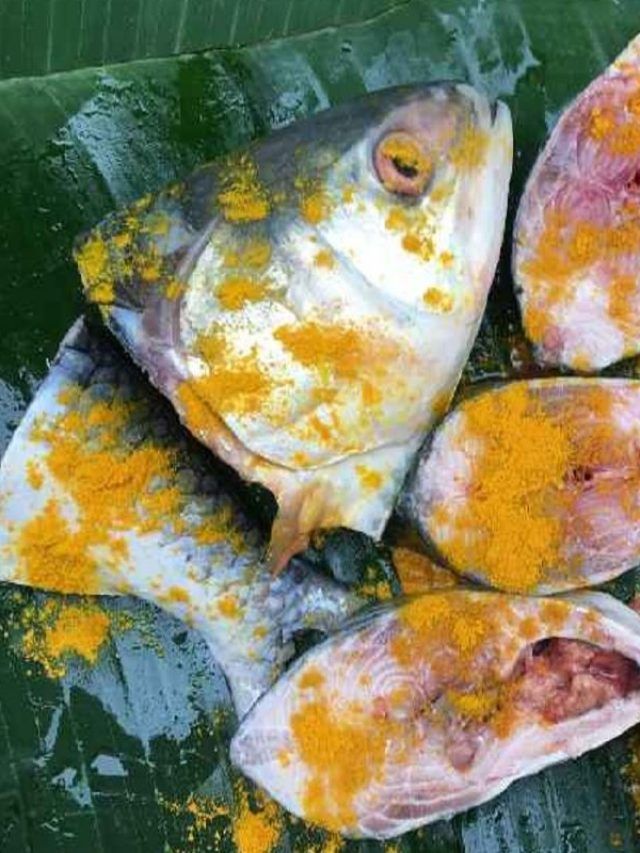 মাছ ভাজার আগে নুন-হলুদ মাখানোর কেসটা কী? লজিকটা জানুন