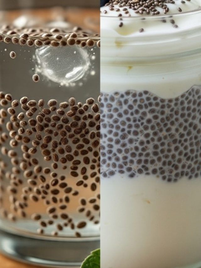 चिया सीड्स...पानी या दही, किसके साथ है ज्यादा फायदेमंद?