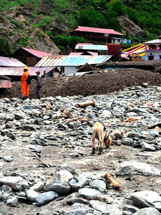 तबाही वाले धराली की तस्वीरें और हर्षिल आर्मी कैंप का आंखों देखा हाल