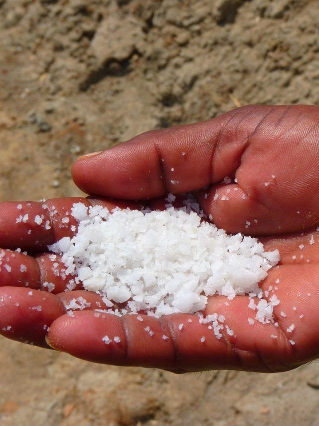 रात के समय बाहरी लोगों को भूलकर भी न दें ये 2 सफेद चीजें, धनधान्य पर होगा बुरा असर