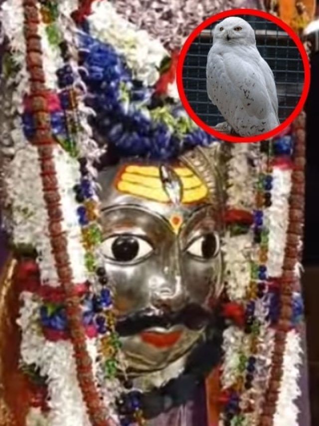 काशी विश्वनाथ के बाद लाट भैरव पर दिखा उल्लू, जानें कितना शुभ है ये संकेत