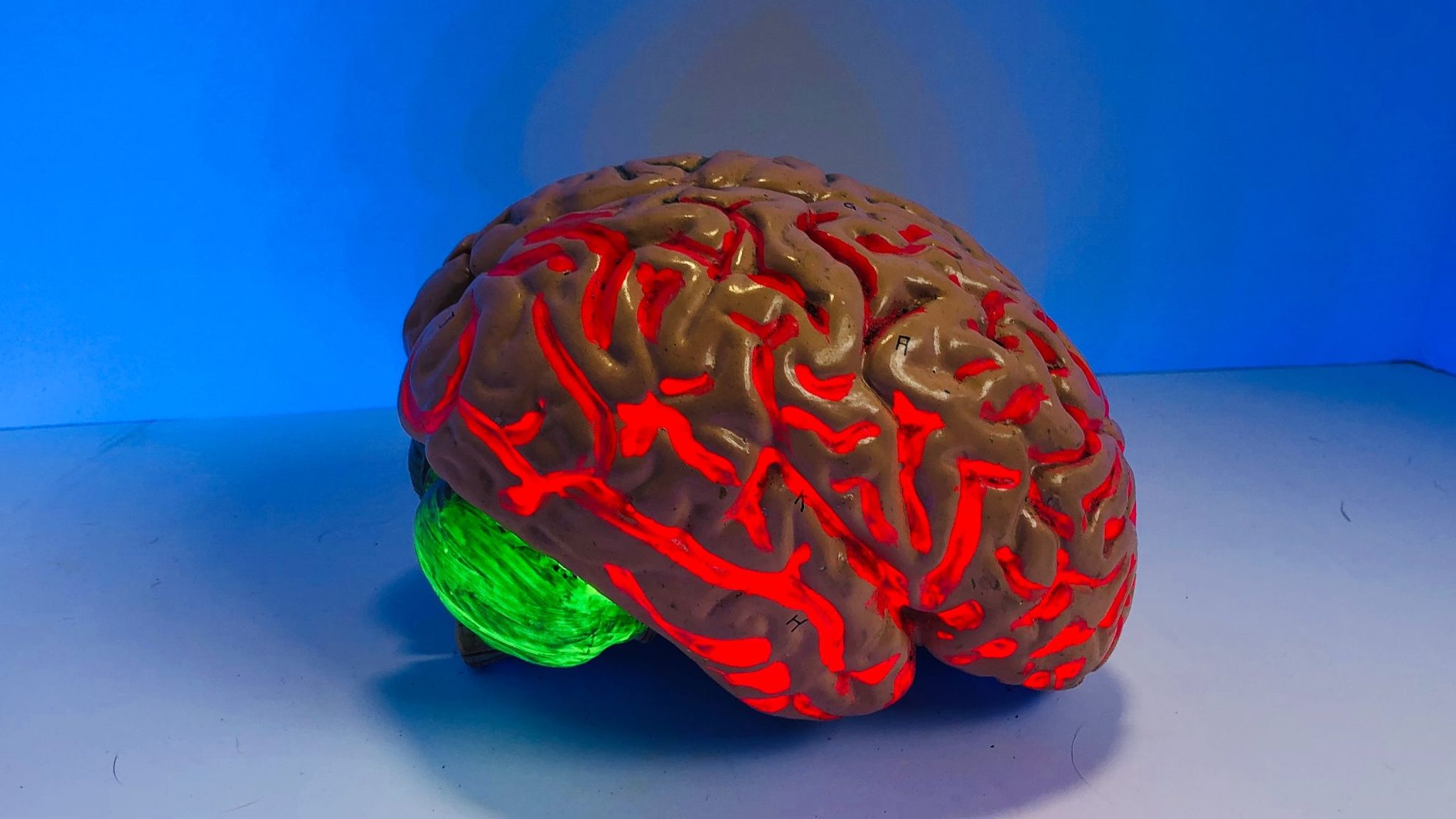 7 Daily Habits to Boost Brain Function in Kids