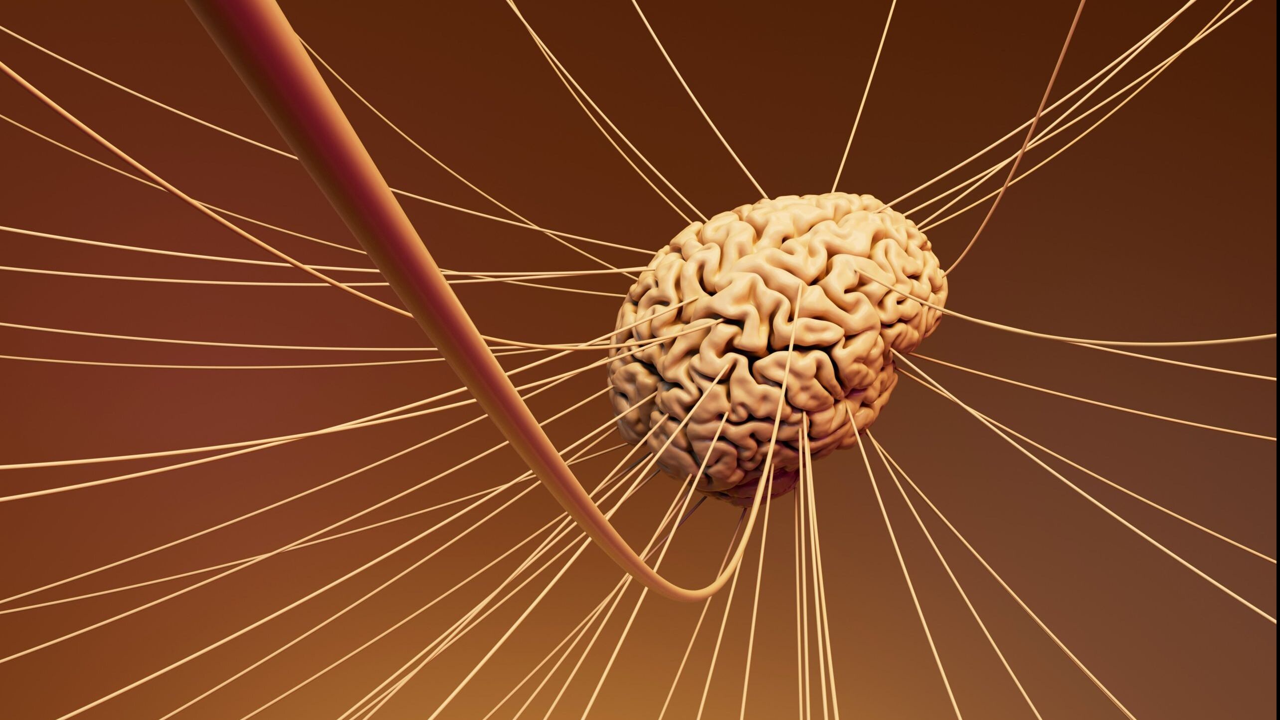 7 Brain Hacks To Stay Sharp All Day