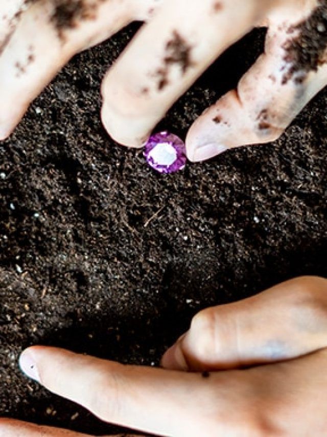 From “Uncle Sam” to esperanza: The only park where you can keep a diamond