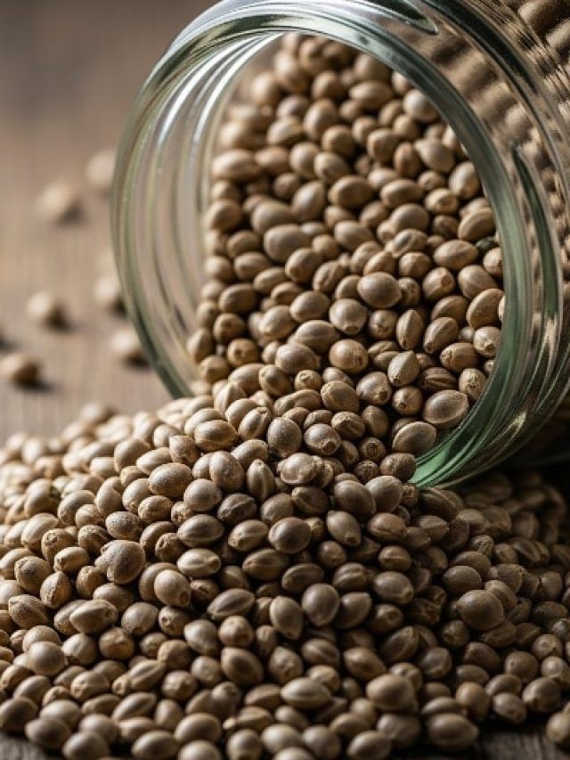 वजन घटाने के लिए असरदार हैं ये पहाड़ी बीज, जानें एक दिन में कितना खाना सही