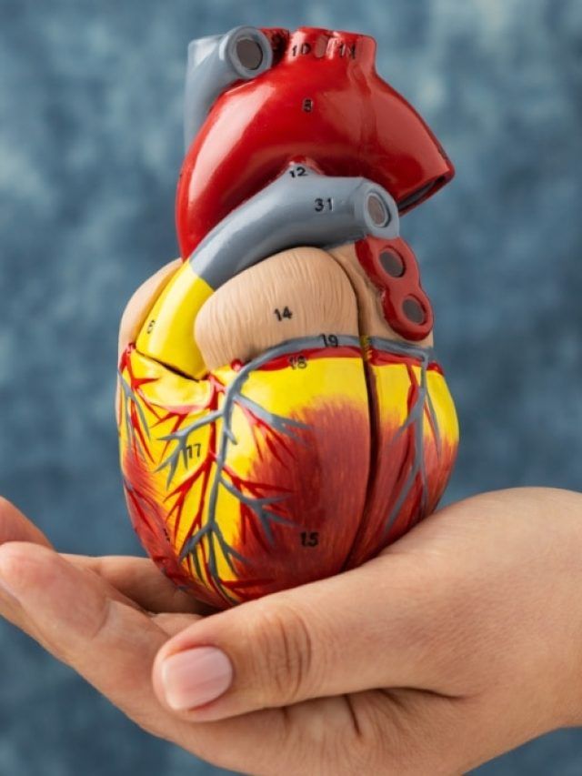 दिल को नहीं बनाना बीमार तो आज से खाना शुरू करें ये चीजें, हार्ट अटैक का रिस्क घटेगा