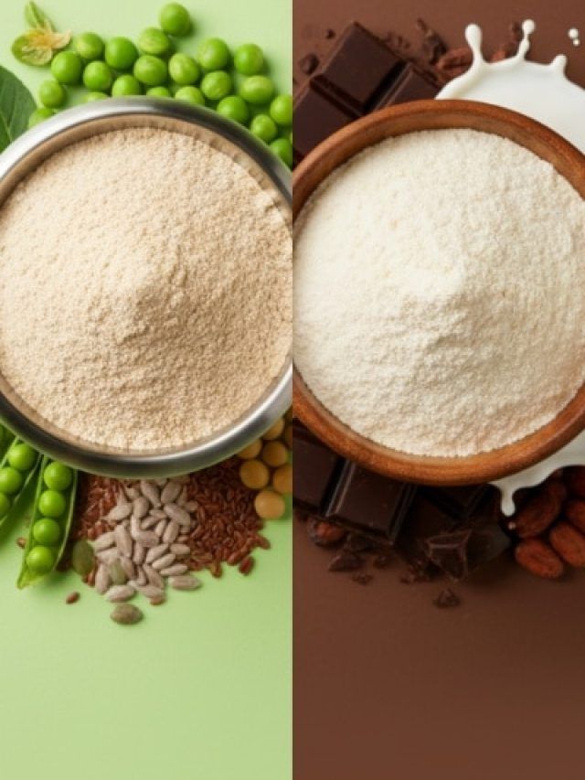प्लांट प्रोटीन Vs व्हे प्रोटीन: क्या है दोनों में अंतर और कौन सा अधिक बेहतर है?