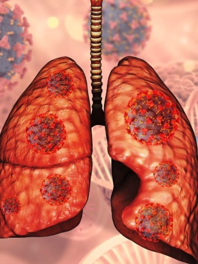 खराब फेफड़ों में जान फूंक देंगे ये 6 'चमत्कारी' बीज! जानें खाने का सही तरीका