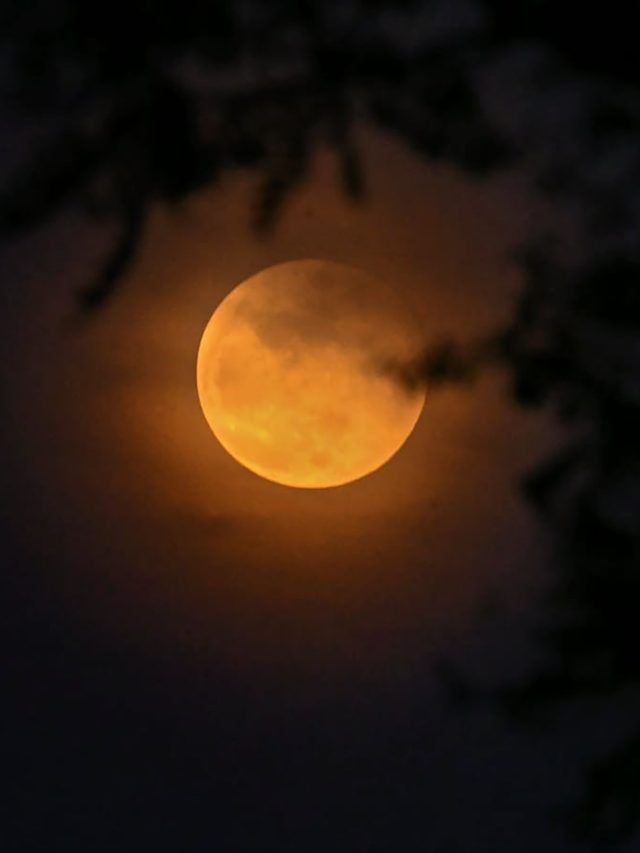 चंद्र ग्रहण से वृश्चिक राशि वालों  को प्राप्त होगी पदप्रतिष्ठा, खुलेंगे तरक्की के द्वार