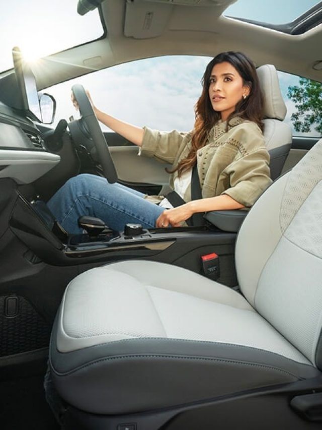 42% EV बाजार पर इस ब्रांड का कब्जा! देखें किसने बेची कितनी इलेक्ट्रिक कारें