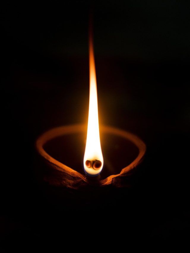 पितृपक्ष में इन 3 पौधों के पास जरूर जलाएं दीपक, मिलेगा पितरों का आशीर्वाद