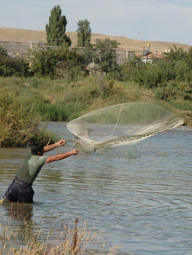 PM मत्स्य योजना का लाभ चाहिए? तो कराएं रजिस्ट्रेशन, यहां जानें सबकुछ