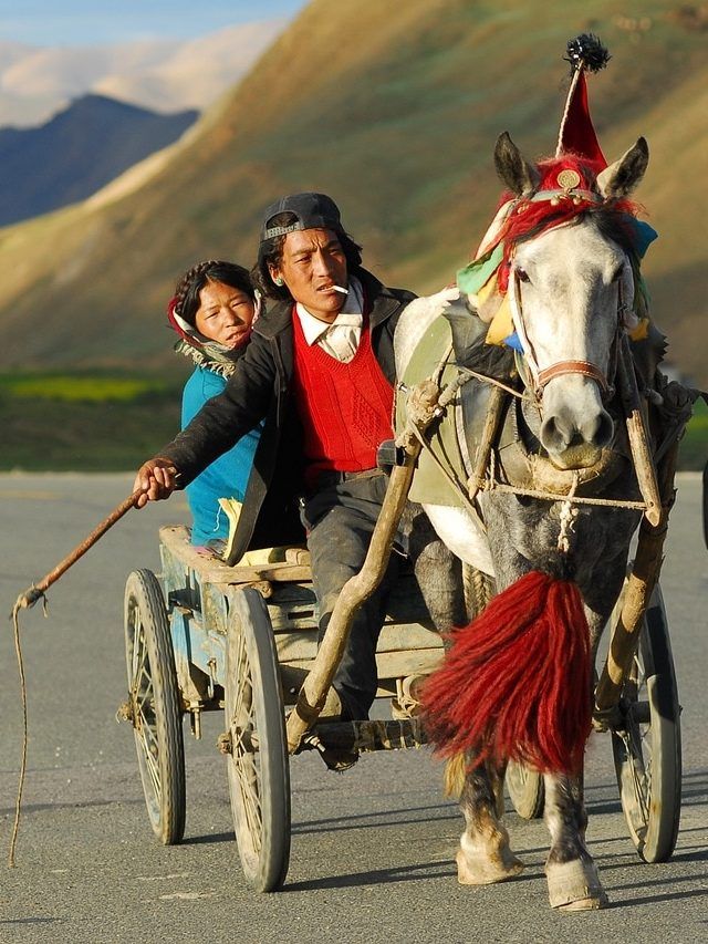 हिंदु राष्ट्र नेपाल में कितनी है मुस्लिम जनसंख्या?